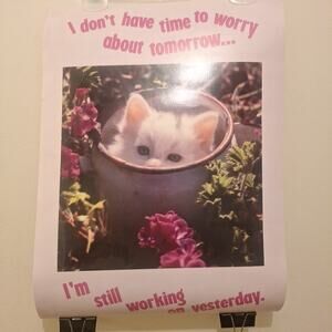 Cute Cat Poster "I Don't Have Time To Worry" VINTAGE POSTER 1989 Argus 61936